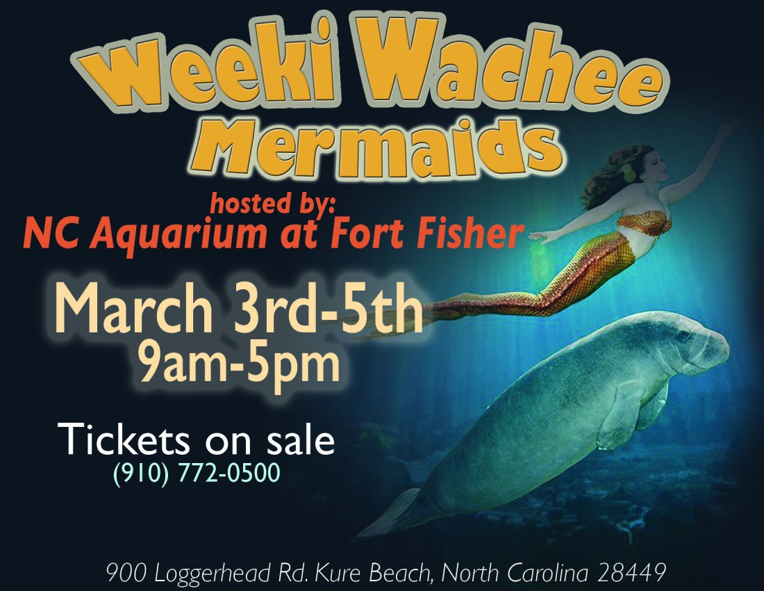 Weeki Wachee Mermaids - Event Flyer