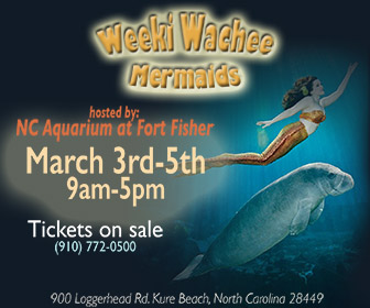 Weeki Wachee Mermaids - Web Banner